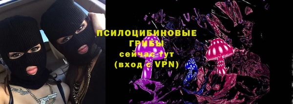 твердый Аркадак