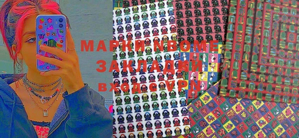 твердый Аркадак