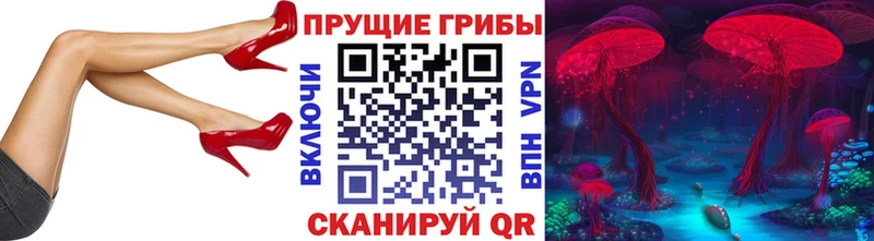 Галлюциногенные грибы Magic Shrooms  Балахна 