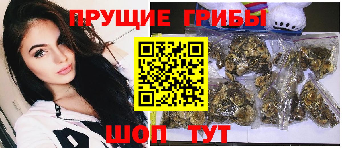 Балахна  Псилоцибиновые грибы мухоморы  Вход с VPN 