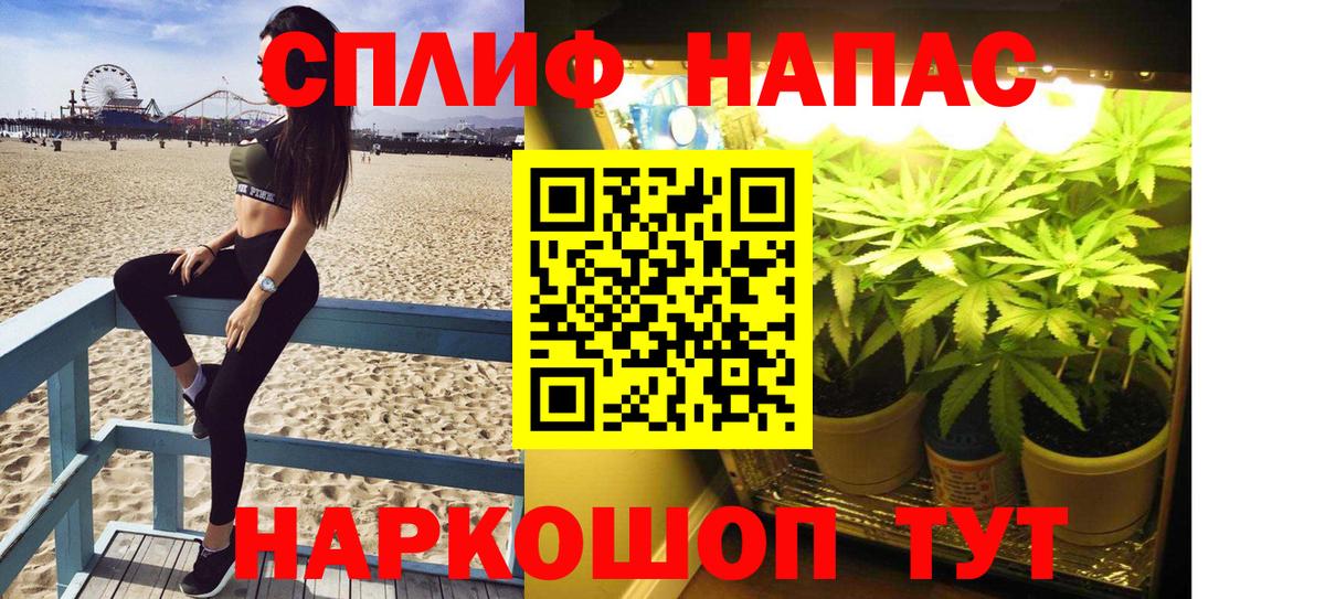 Бошки марихуана семена  Каннабис SATIVA & INDICA  Марихуана семена  Каннабис LSD WEED  Балахна 